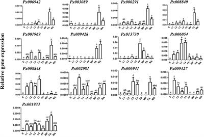 An inducible gene from glycoside hydrolase one family of Plutella xylostella decreases larval survival when feeding on host plant